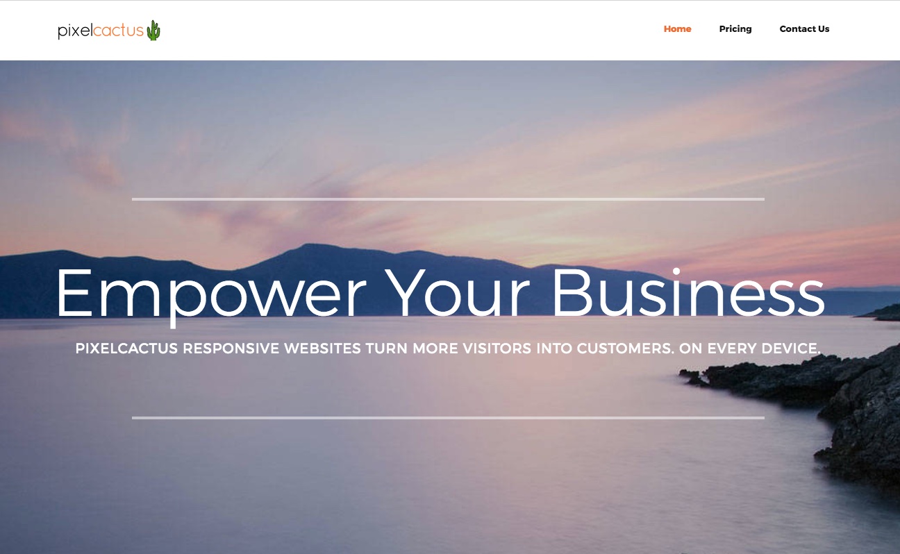 pixelcactus - Empowering Businesses with Responsive Websites